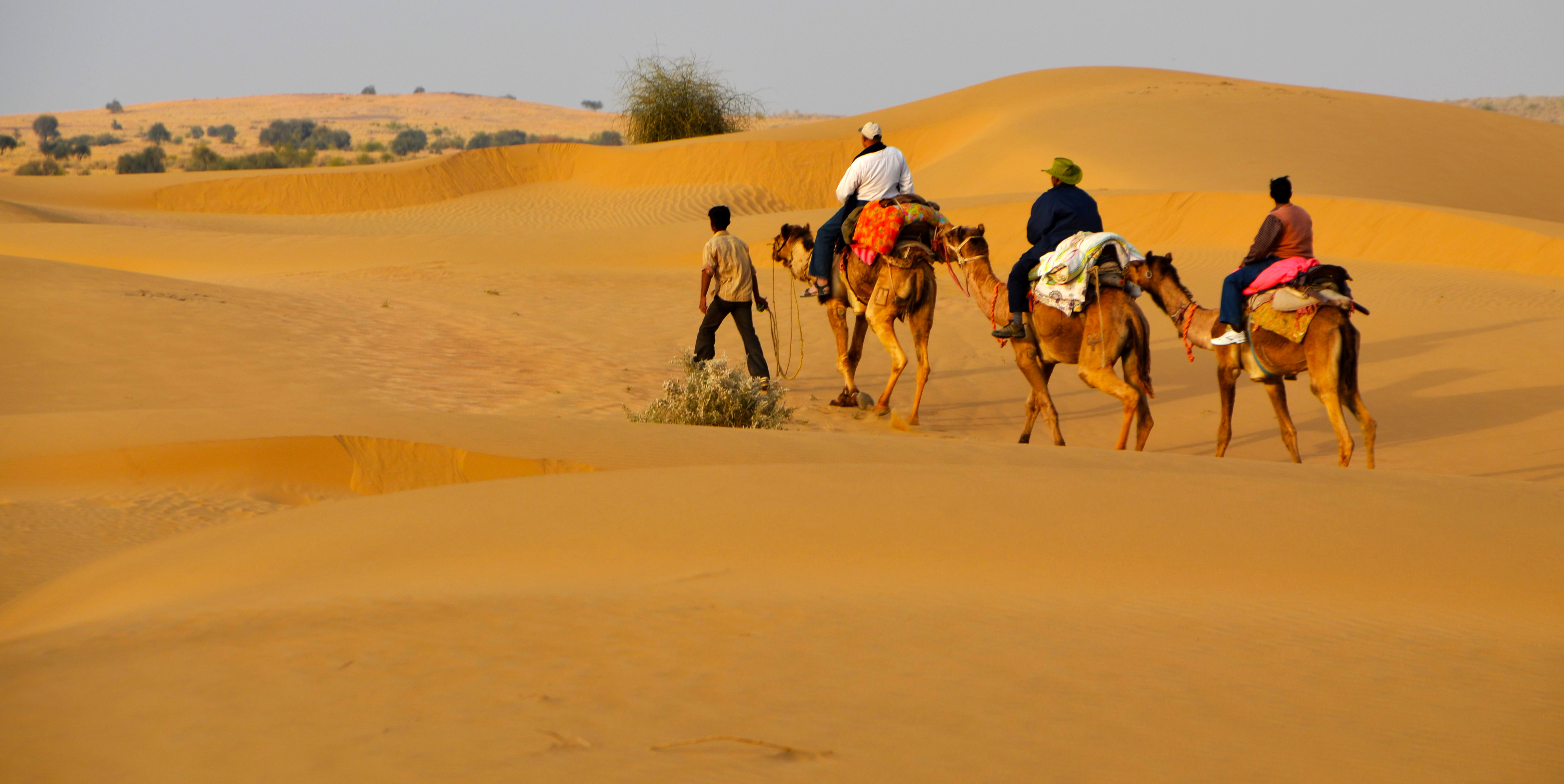 desert-safari-Jaisalmer.jpg