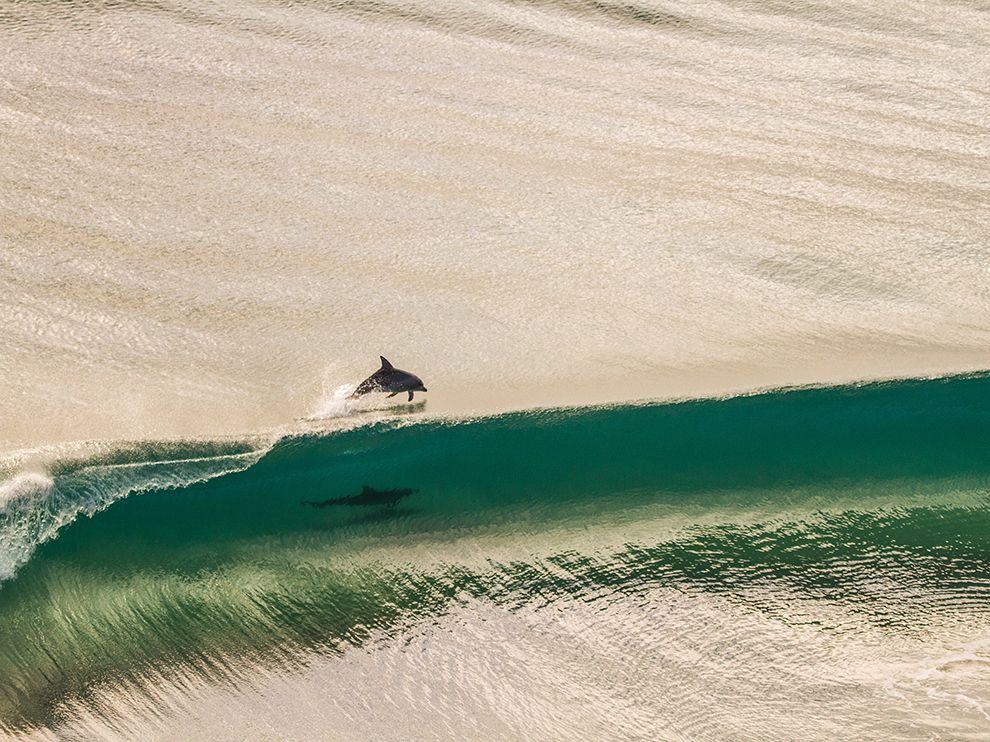 dolphin-point-danger-australia_80558_990x742.jpg