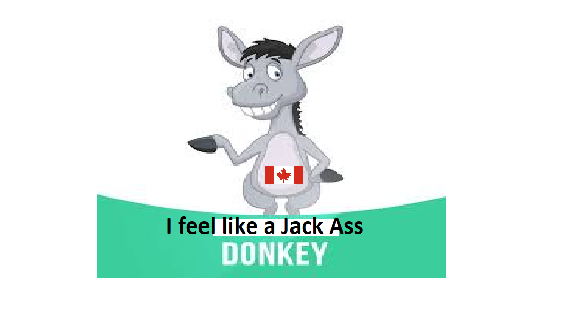 Donkey.png