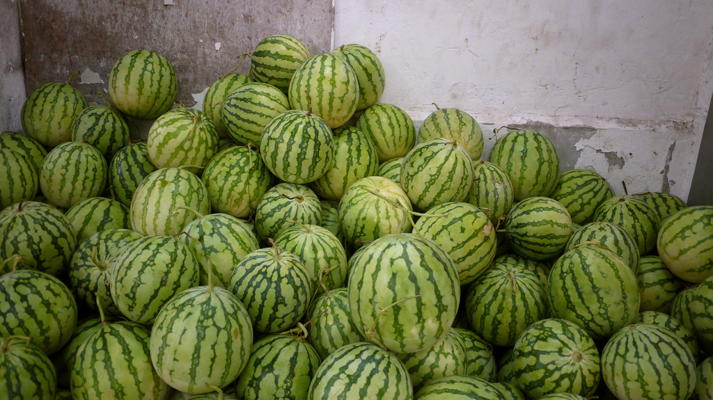 droitdeshommes 9 25 15.jpgmelons.jpg