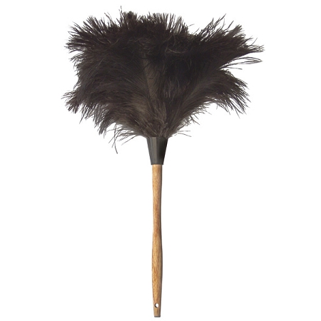 Duster[1].jpg