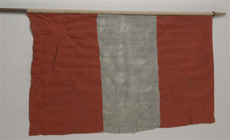dzarmy 10 29 15 algerian flag 1830.jpg2.jpg