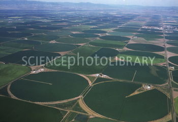 E7740085-Aerial_view_of_centre_pivot_irrigation_of_wheat-SPL.jpg