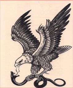 eagle with snake.jpg