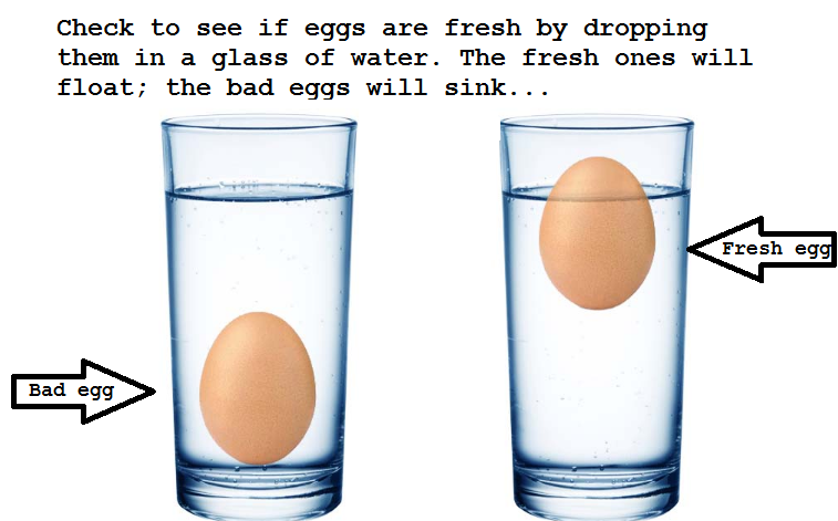 eggs.png