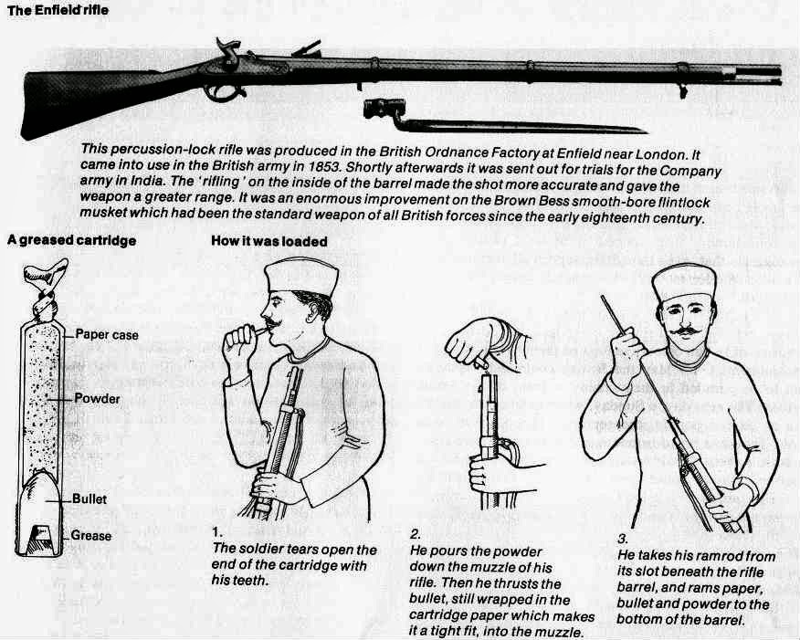 Enfield Rifle and cartridges.jpg