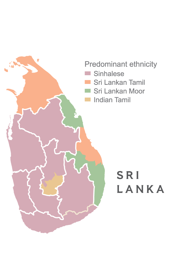 EthnicityMap-288.ngsversion.1475172019162.png