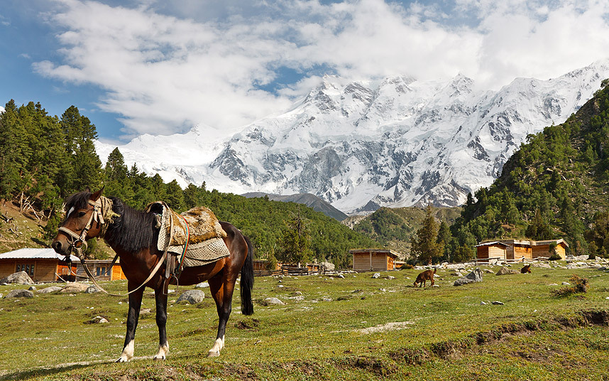 fairy-meadows-AP_3418092k.jpg