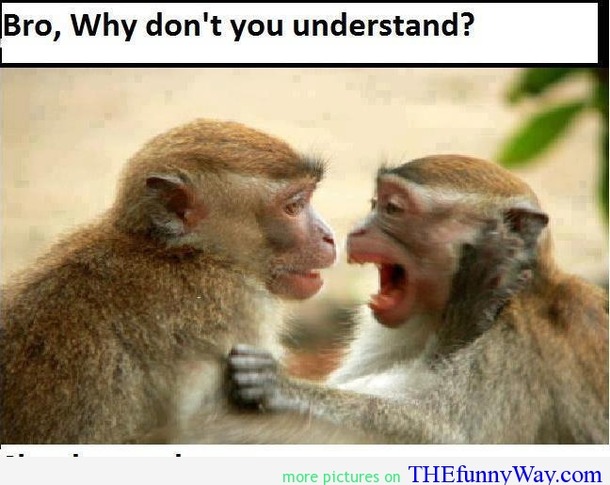 Favim.com-monkey-are-smart-smart-quote-monkey-quote-funny-monkey-565814.jpg