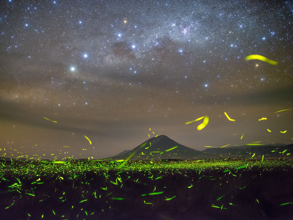 fireflies-stars-nightTanzania’s Lake Natron_89915_990x742.jpg