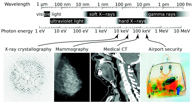 FL2_Astro_Fig1_2551062g.jpg