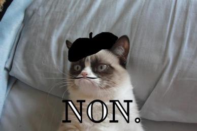 french-grumpy-cat[1].jpg