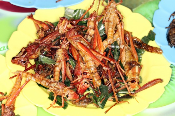 Fried-Grasshoppers-560x373.jpg