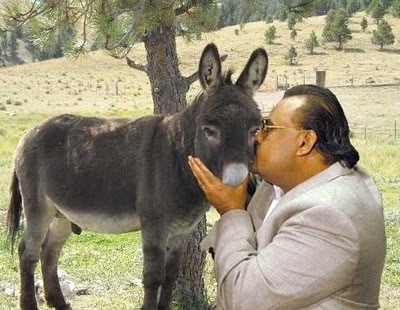 Funny-Donkey-Kissing-2.jpg
