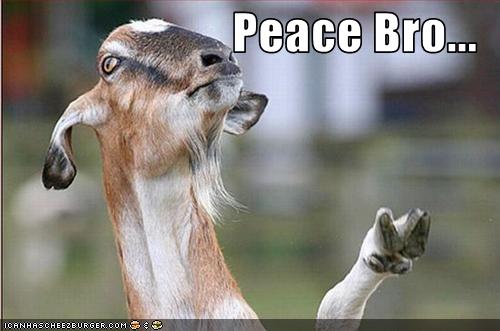 funny-pictures-goat-gives-peace-sign.jpg