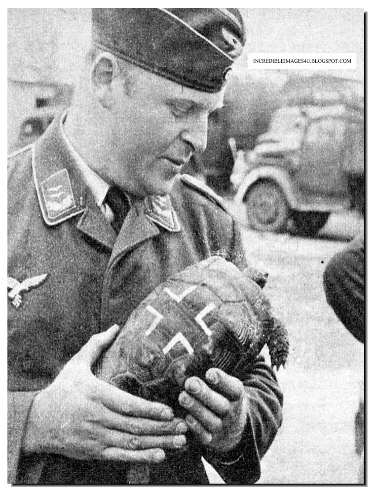 funny-pictures-ww2-humor-war-history-world-war-two-018[1].jpg