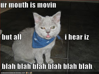 funny-pictures-your-cat-is-not-really-interested-in-what-you-are-saying.jpg