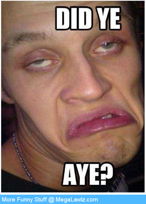 funny-scottish-meme-did-ye-aye-question-face-megalawlz-lol-cool.png