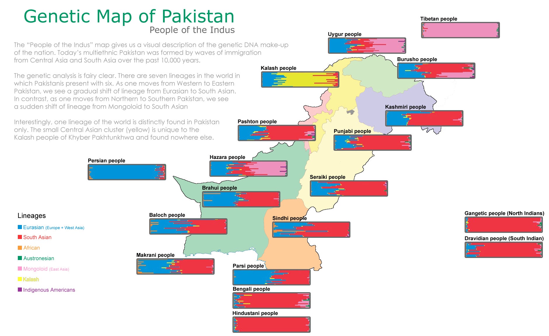 Genetic map of Pakistan.jpg