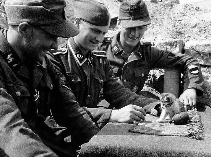 german_soldiers_play_with_a_kitten__1866250403[1].jpg