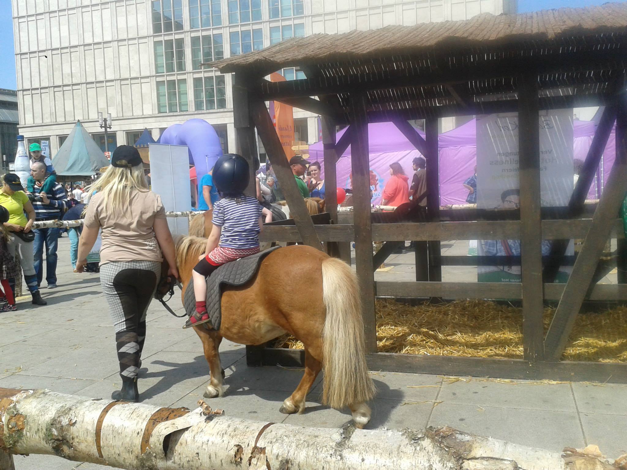 get a real pony ride.jpg