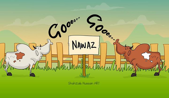 Go Nawaz.jpg