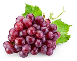 grape_229112122_250.jpg