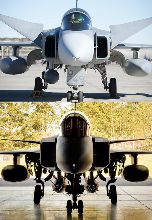 Gripen C & NG comparison.JPG