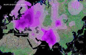 Haplogroup of R1aaa.jpg