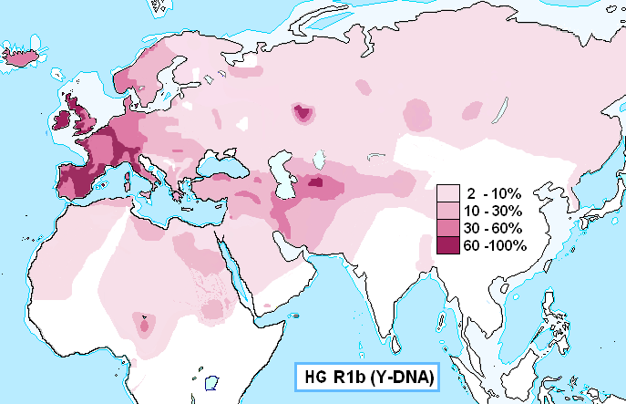 Haplogroup_R1b_(Y-DNA) (1) (1).PNG