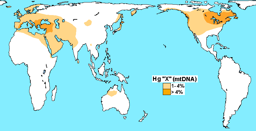 Haplogroup_X_(mtDNA).PNG