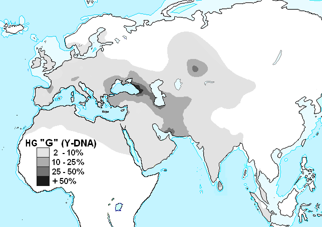 Haplogrupo_G_(ADN-Y) (1) (1).PNG