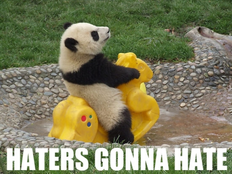 haters gonnahate panda.jpeg