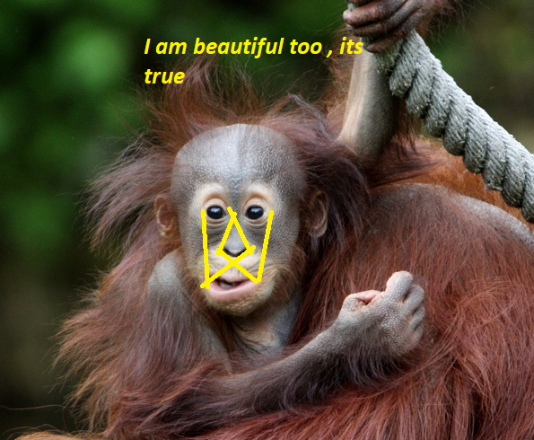 IAMBEAUTIFUL.png