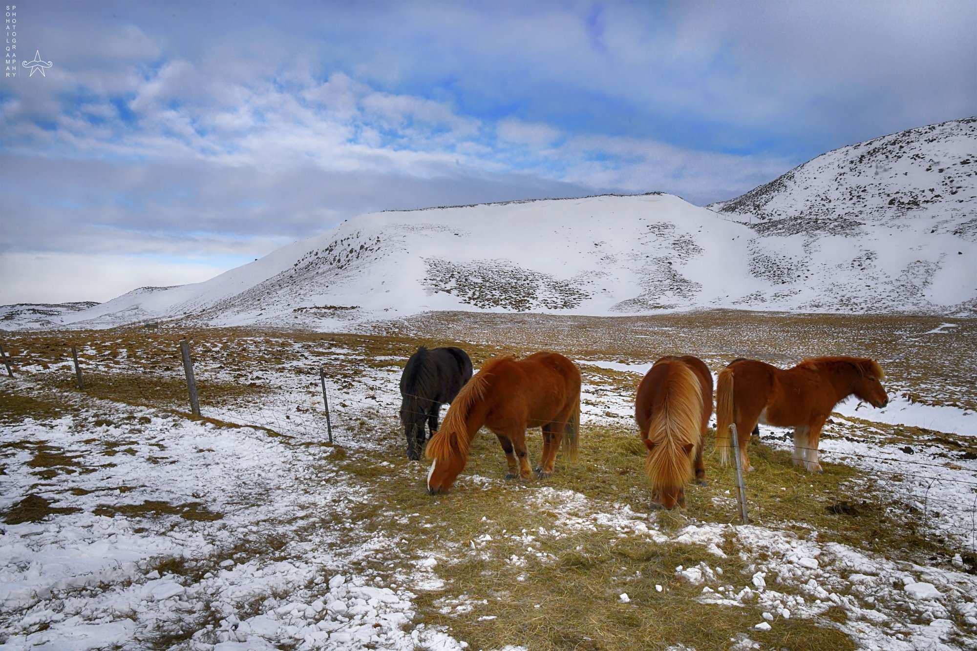 Iceland0215S.jpg