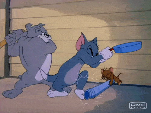 image.gif