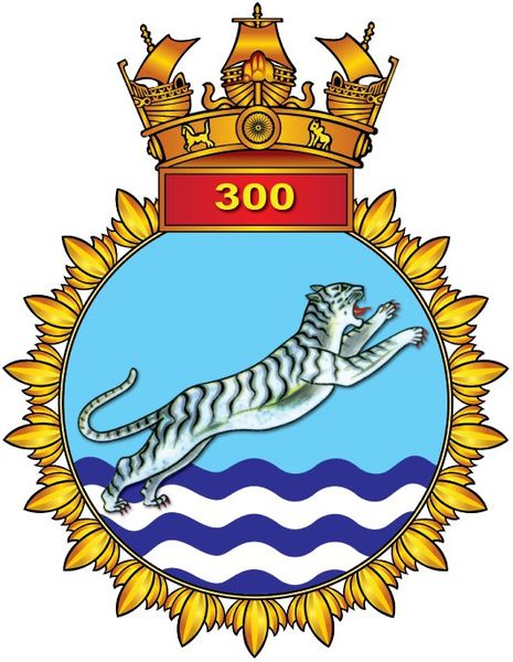 INAS_300_insignia.jpg