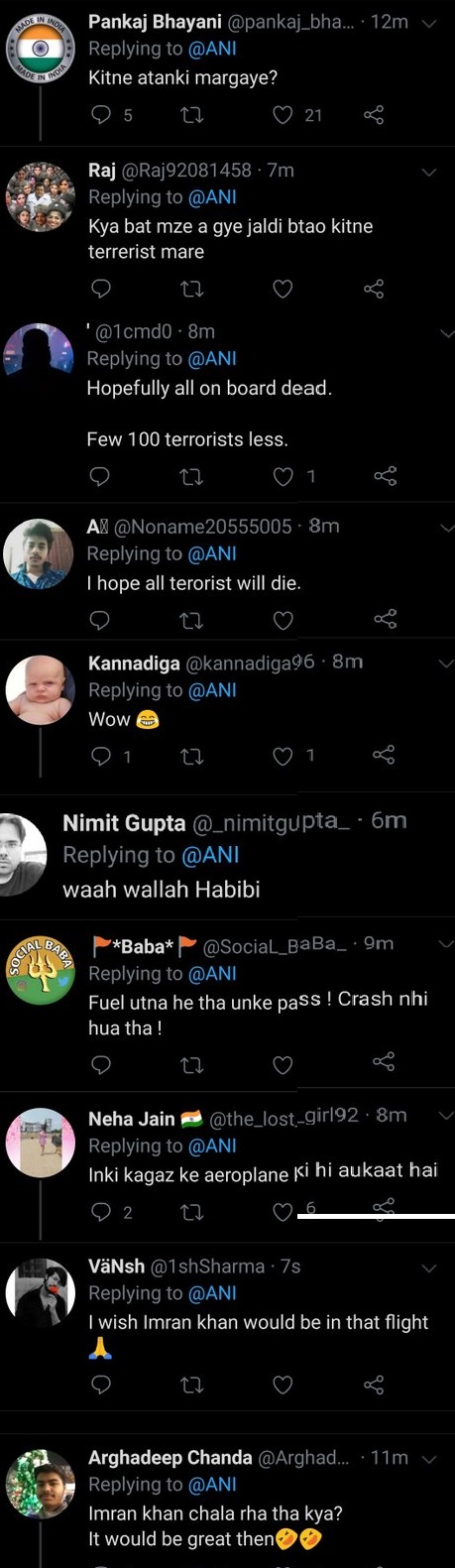 Indian happy PIA crash.jpeg