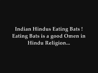Indian Hindus Eating Bats is Good.jpg