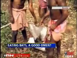 Indian Hindus Eating Bats.jpg