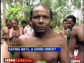 Indian Hindus Eating Bats.mp4_20200813_150158.265.jpg