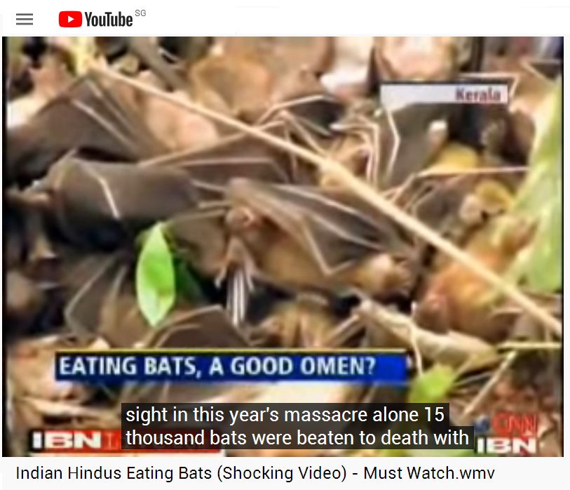 Indian Hindus Eating Bats6.jpg