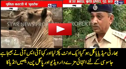 Indian-Media-Gone-Mad-India-caught-a-Spy-Camel-Sent-by-ISI.jpg