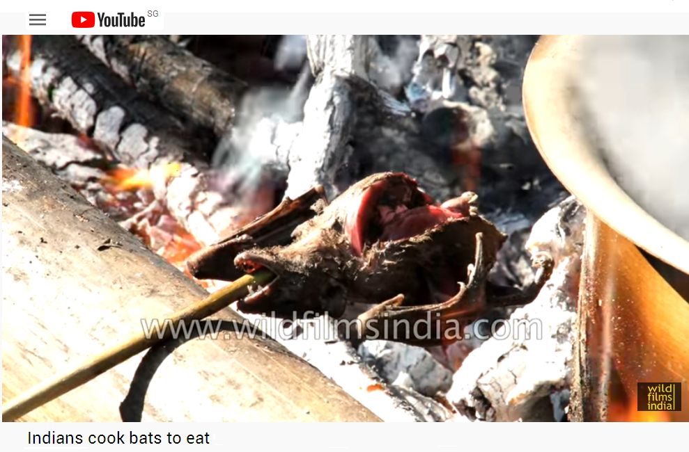 Indians Cook Bats to Eat.jpg