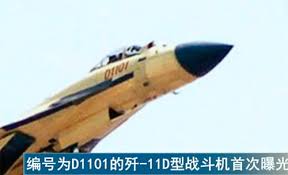 J-11D 3.jpg