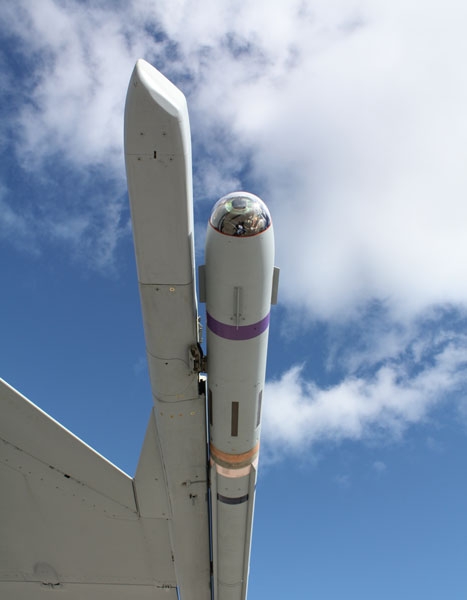 JAS 39 wing tip launcher with ecm.jpg