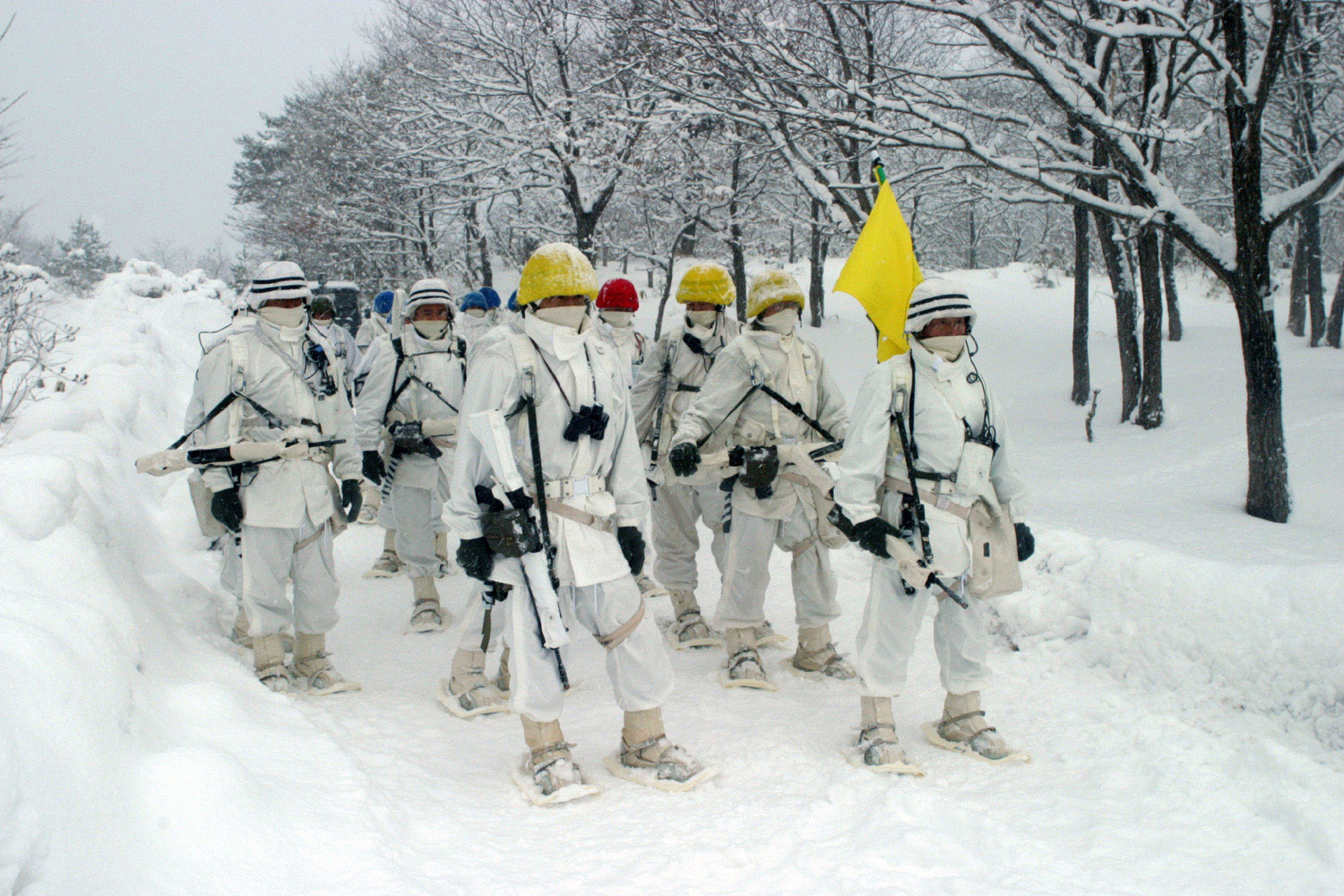 jgsdf_snow[1].jpg