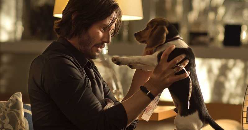 John-Wick-3-Dog-Deaths.jpg