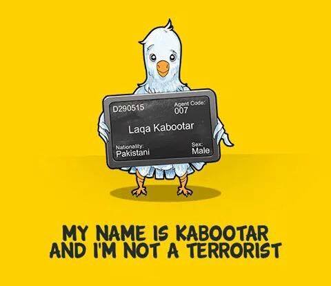 kabootar.jpg