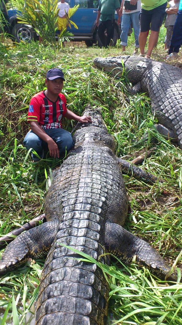 kch-bp140415-ga-croc-p1.jpg